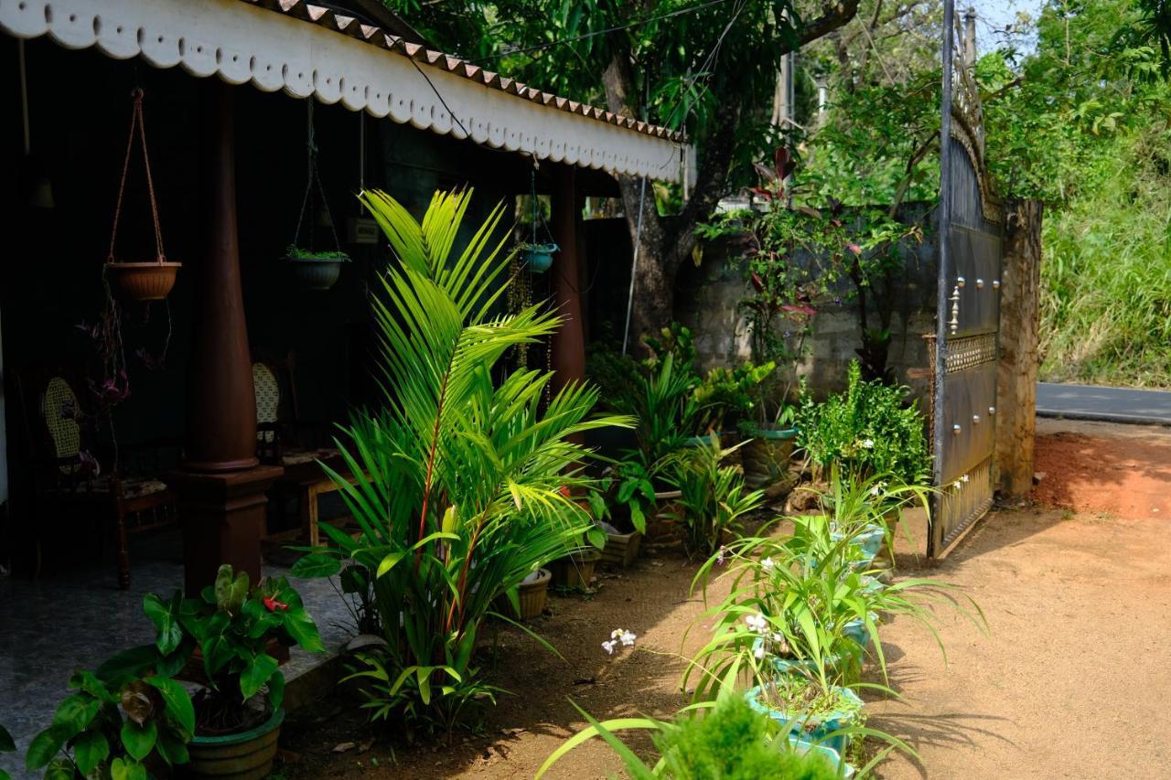 One More Night Hostel Sigiriya Buitenkant foto