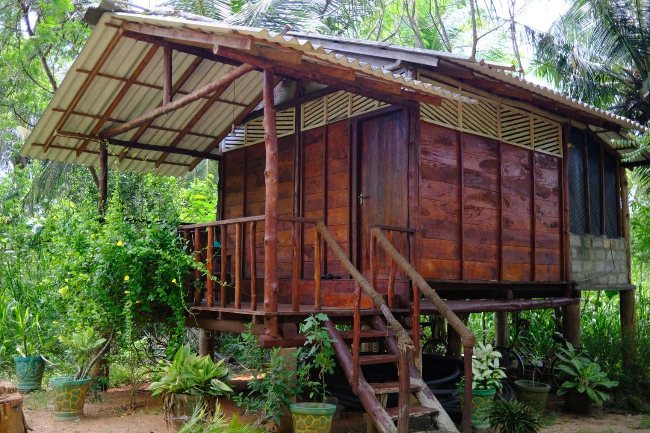One More Night Hostel Sigiriya Buitenkant foto