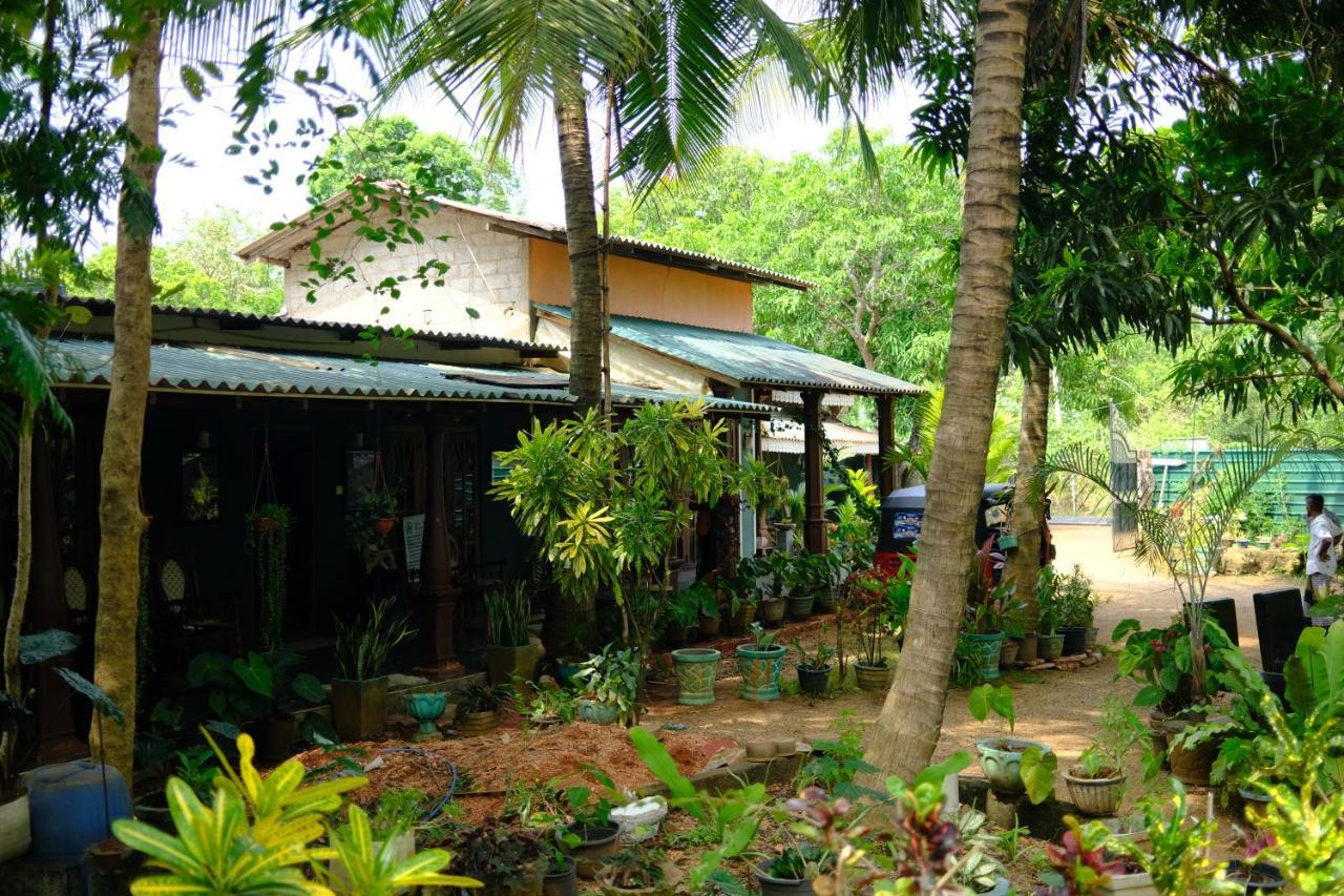 One More Night Hostel Sigiriya Buitenkant foto