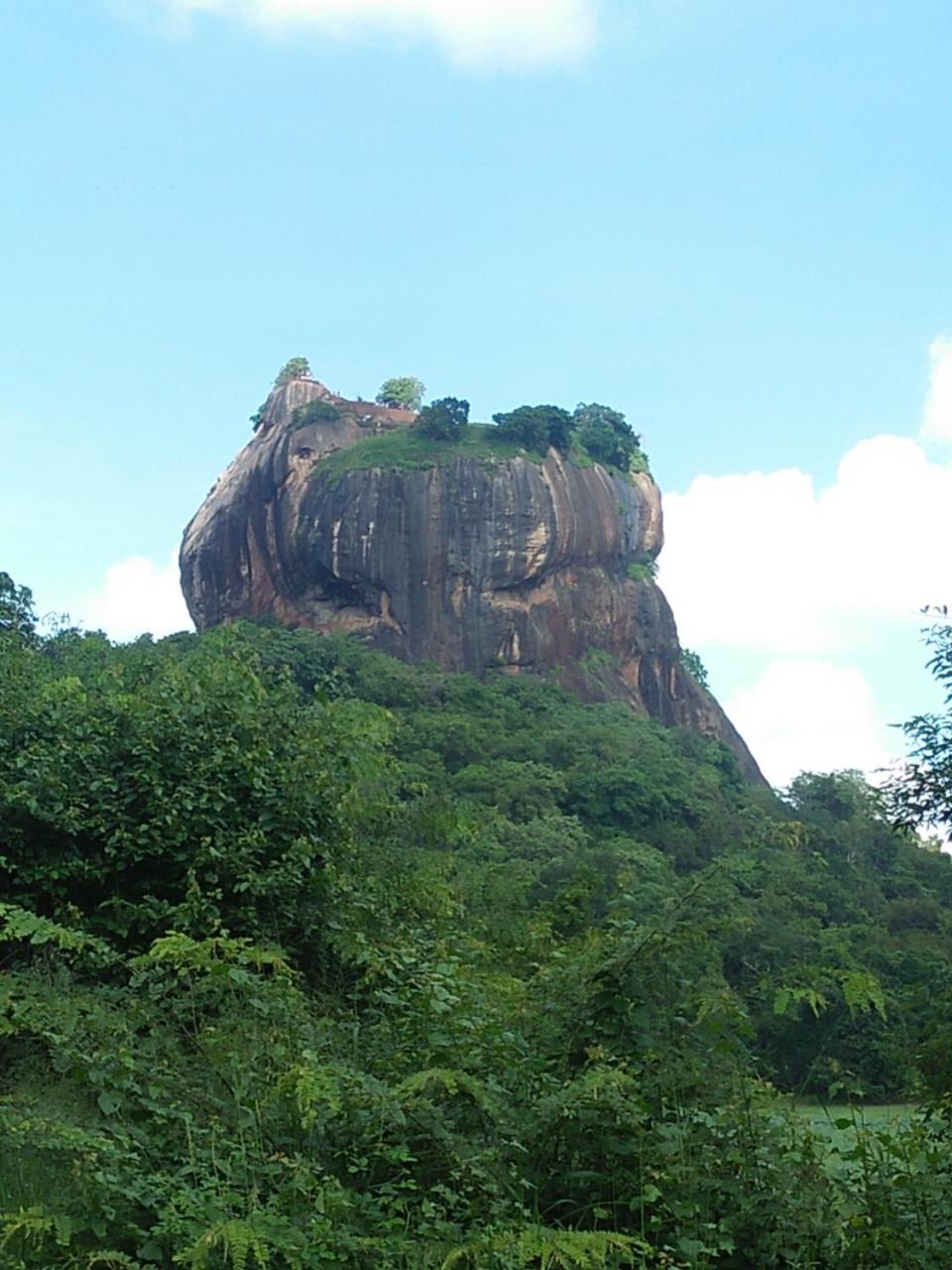 One More Night Hostel Sigiriya Buitenkant foto